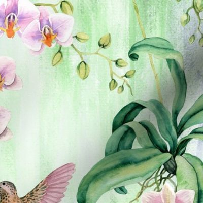 Orchids with hummingbirds pastel green