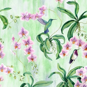 Orchids with hummingbirds pastel green