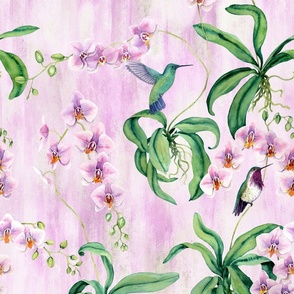 Orchids with hummingbirds pastel pink