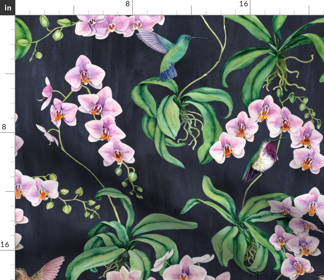 Orchids with hummingbirds dark gray or anthracite