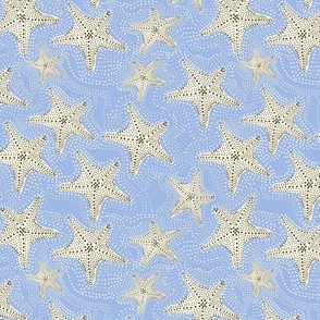 Star fishes beach -duck egg blue FABRIC NEW small scale1