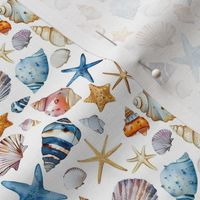Seashells & Starfish - small 
