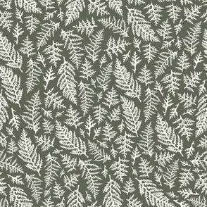 Thuja Leaves - Natural Christmas Collection - Rosemary Green BG - Texture on the Leaves