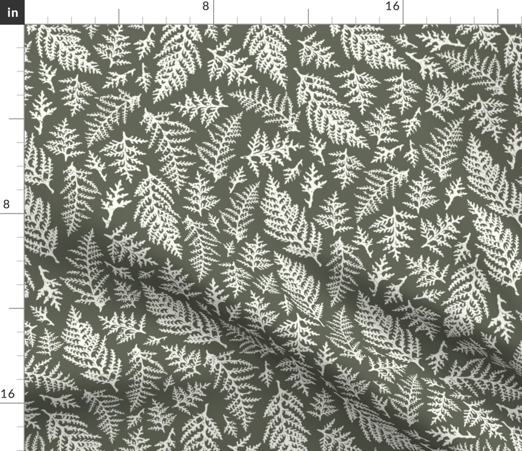 Thuja Leaves - Natural Christmas Collection - Rosemary Green BG - Texture on the Leaves