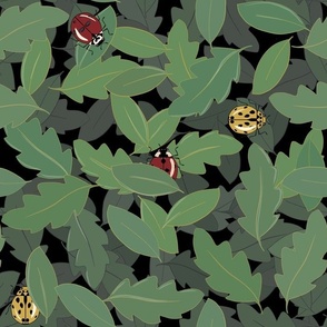 Ladybugs on leaves -  with black background
