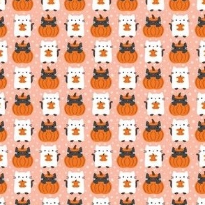 mini halloween cats / peachy