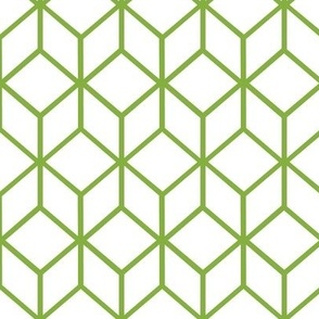 FS Abstract Geometric Box Apple Green on White