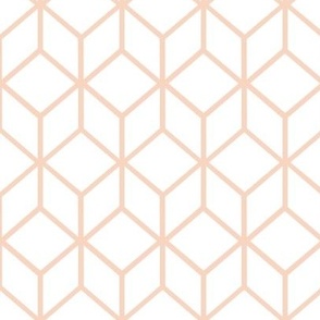 FS Abstract Geometric Box Apricot on White