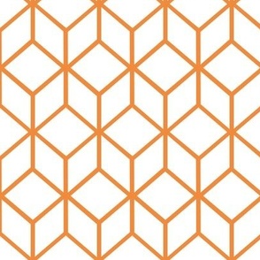 FS Abstract Geometric Box Marigold on White