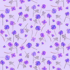 Pressed California Poppy Flowers (Purple)