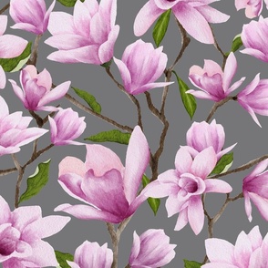 Pink Lily Magnolia Blossoms on a Medium Gray Background