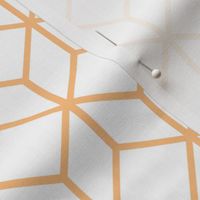 FS Abstract Geometric Box Peach on White