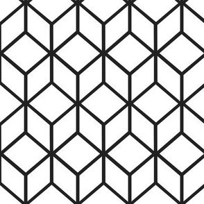FS Abstract Geometric Box Raven Black on White