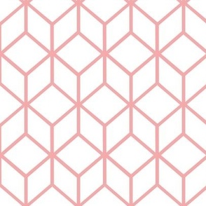 FS Abstract Geometric Box Salmon Pink on White