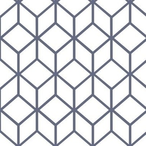 FS Abstract Geometric Box Slate Gray on White