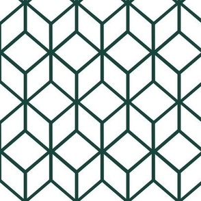 FS Abstract Geometric Box Spartan Green on White