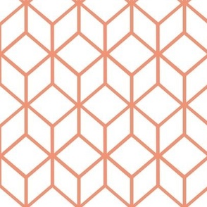 FS Abstract Geometric Box Tangerine on White