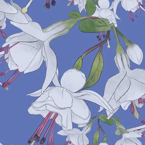 Just Fuchsia Flowers Tumbling Gently on Dusty Blue