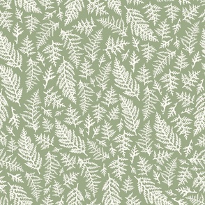 Thuja Leaves - Natural Christmas Collection - Laurel Green BG - Texture on the Leaves