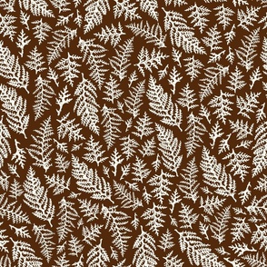 Thuja Leaves - Natural Christmas Collection - Mahogany BG - Texture on the Leaves