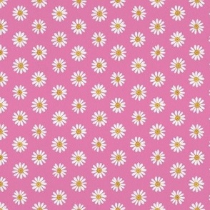 White daisy on pink 12in
