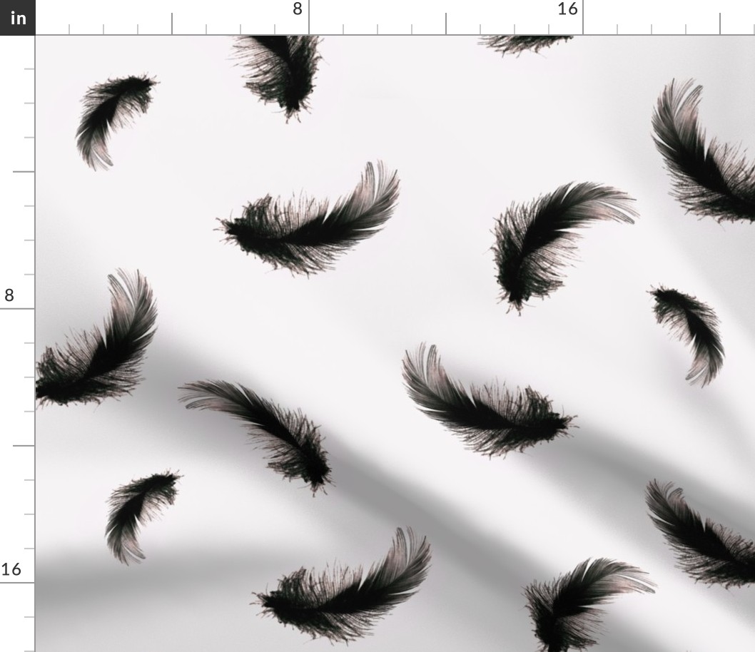 Black Feathers on White_Medium scale