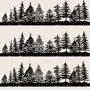 Majestic beauty of pine trees landscape, black & white