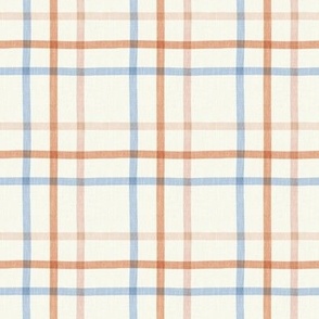 Medium Colorful Plaid in Red and Blue, Cheerful Summer Check