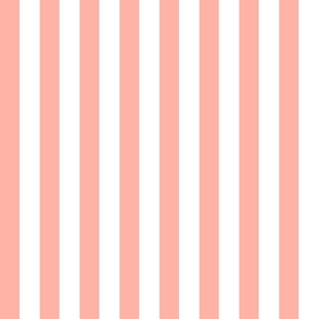 (S) Awning Stripes/Circus Stripes Beach Vibes Peach Pink and White