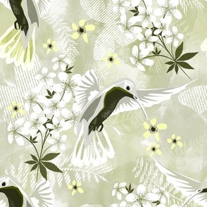 Hummingbird and white flowers.Grey, white, light olive background.