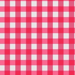 Classic Gingham Plaid Pink and Red Checks S