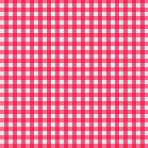 Classic Gingham Plaid Pink and Red Checks Mini  