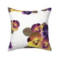 pansy scatter - large