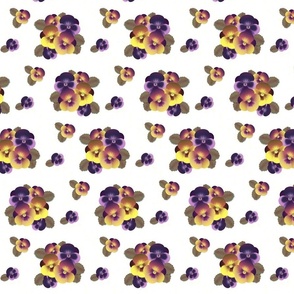 pansy scatter - small