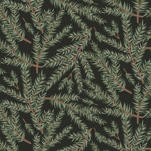 Scattered Christmas Tree Fir Branches on Soft Black Ground Large Scale