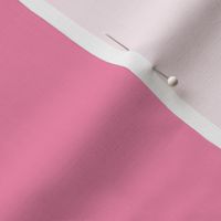 Plain Colours_Sachet Pink