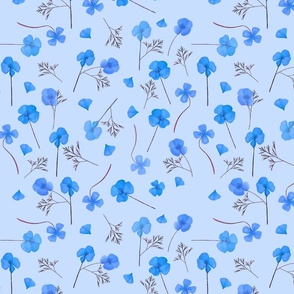 Pressed California Poppy Flowers (Blue)