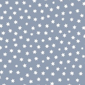 Starry Night Sky Soft Gray