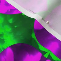 Purple Green Clouds - Small Scale / Purple Green Christmas Ornaments / Nature Photography 