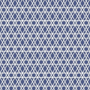 Berry Blue Geometric with white lines