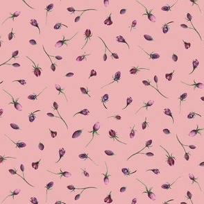 small - Watercolor rosebuds - purple florals tossed on tea rose pink