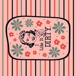 27x18 Panel for I Like It Dirty Sassy Ladies in Peach for Wall Hanging or Tea Towel