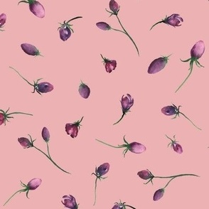 medium - Watercolor rosebuds - purple florals tossed on tea rose pink