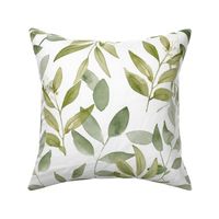 botanical green leaves floral plants watercolor