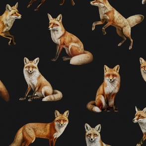 Gathering of Foxes