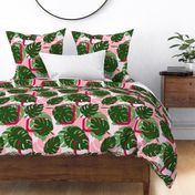 Midcentury Monstera - Pink Background