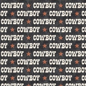 Cowboy -  Western - charcoal - LAD24