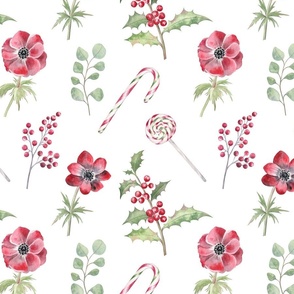 Anemone Flowers and Christmas Candies on white