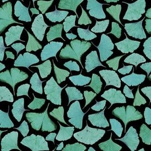 Custom Teal Green  Ginkgo Biloba Falling  Leaves in Black/ 6''
