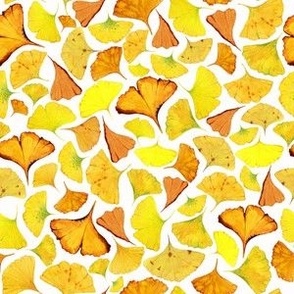 Custom Yellow Ginkgo Biloba Falling  Leaves in White /6''